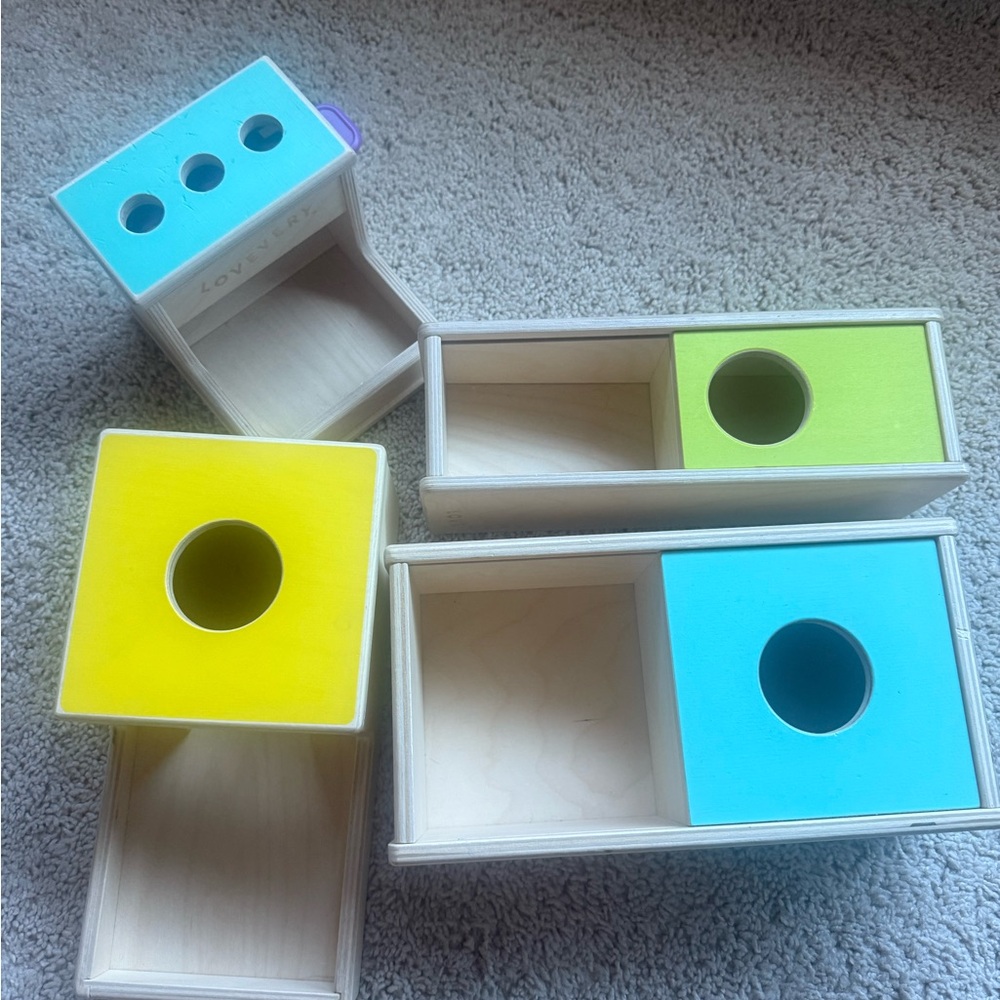 Colorful Wooden Sorting Toy Set